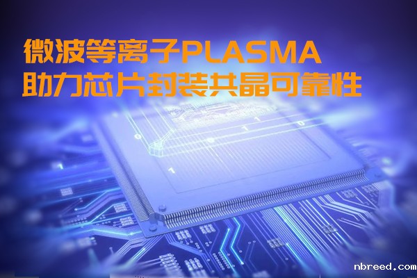 微波等离子PLASMA助力芯片封装共晶可靠性