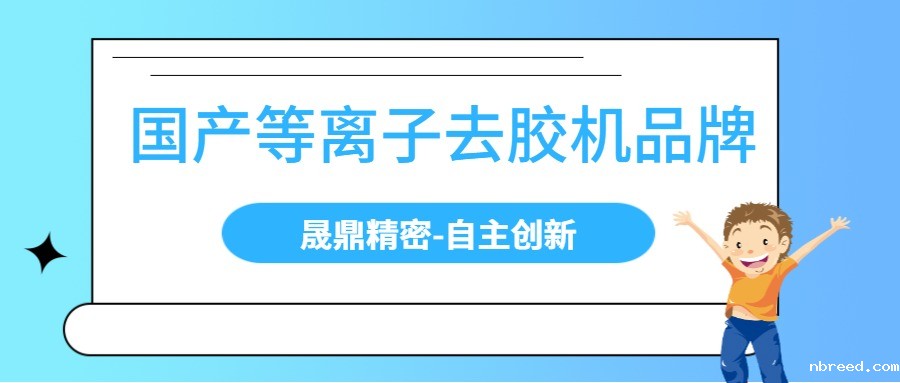 国内等离子去胶机有哪些品牌？