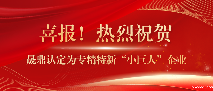 喜报！晟鼎认定为专精特新“小巨人”企业
