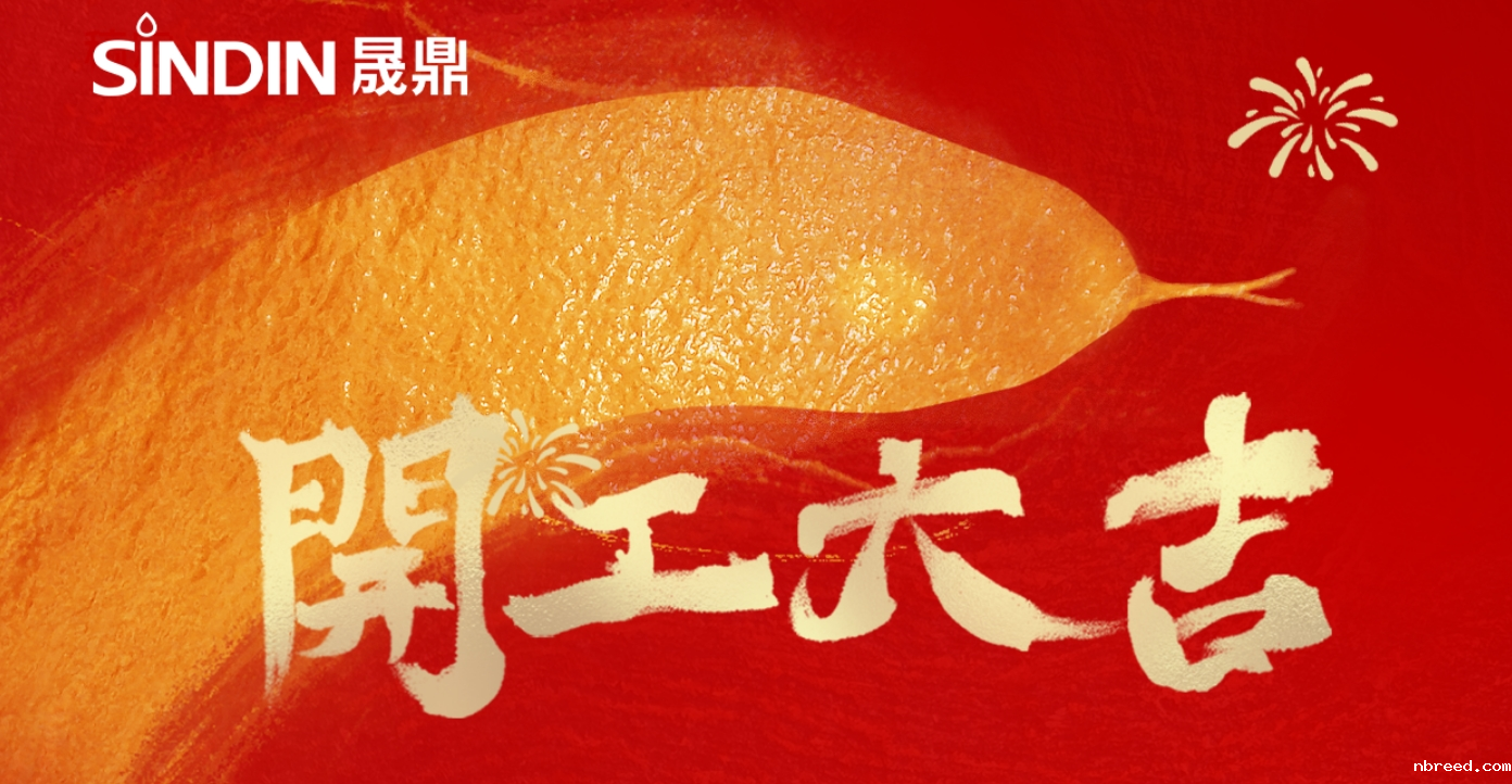 开工大吉步步高，同心聚力启新程