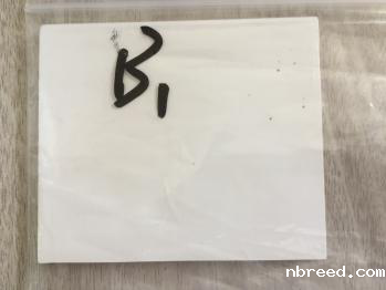 金属陶瓷膜接触角测量仪测试报告1