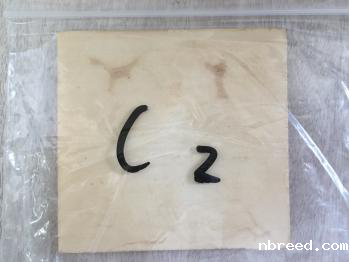 金属陶瓷膜接触角测量仪测试报告7