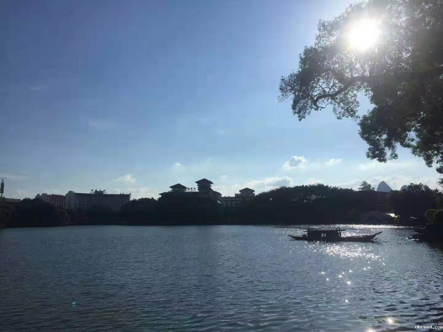 桂林3.jpg