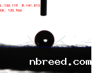 blob.png