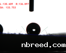 blob.png