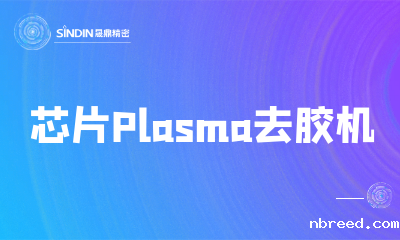 芯片Plasma除胶机